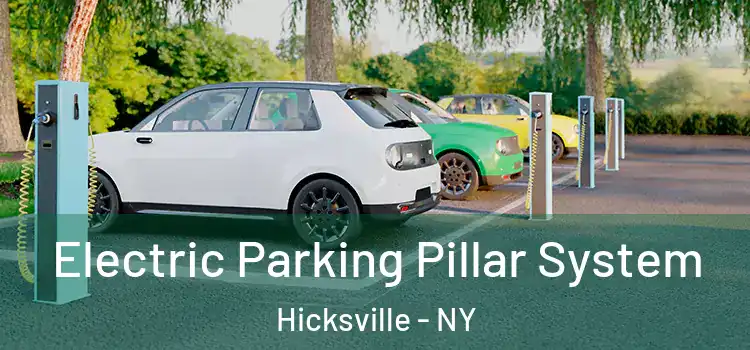 Electric Parking Pillar System Hicksville - NY