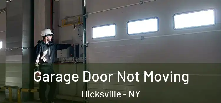  Garage Door Not Moving Hicksville - NY