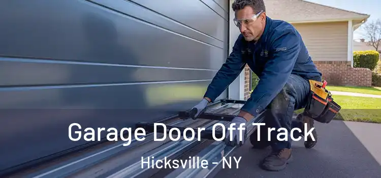  Garage Door Off Track Hicksville - NY