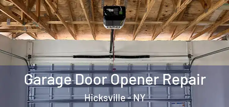  Garage Door Opener Repair Hicksville - NY