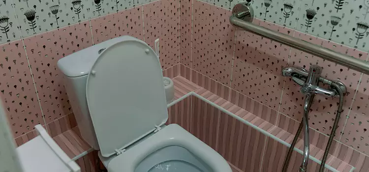 Meeting Diverse Needs With Accessible Restroom Solutions in Hicksville, NY