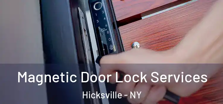 Magnetic Door Lock Services Hicksville - NY