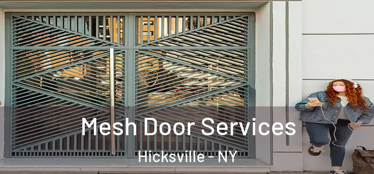 Mesh Door Services Hicksville - NY